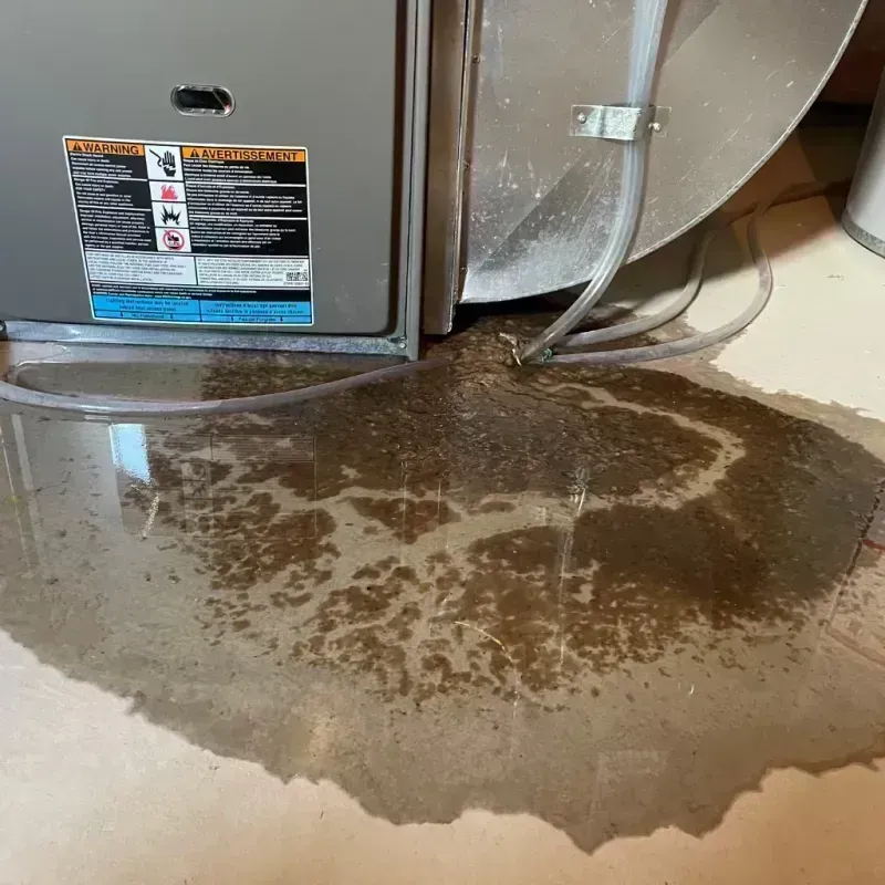 Appliance Leak Cleanup in Youngstown, FL